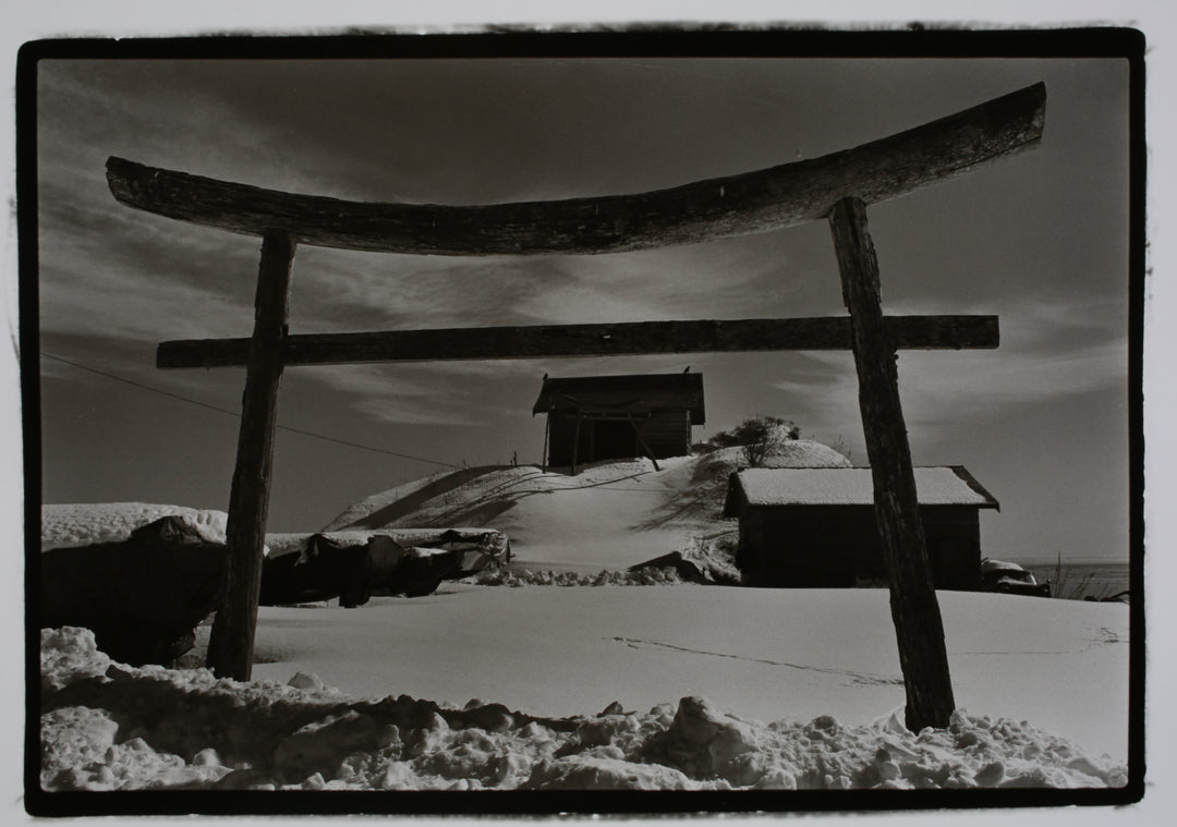 Torii
