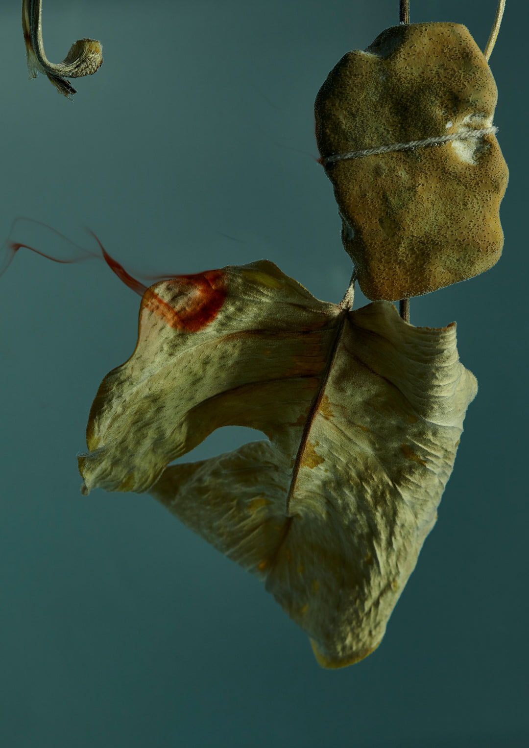 Dried Arrangement (1)