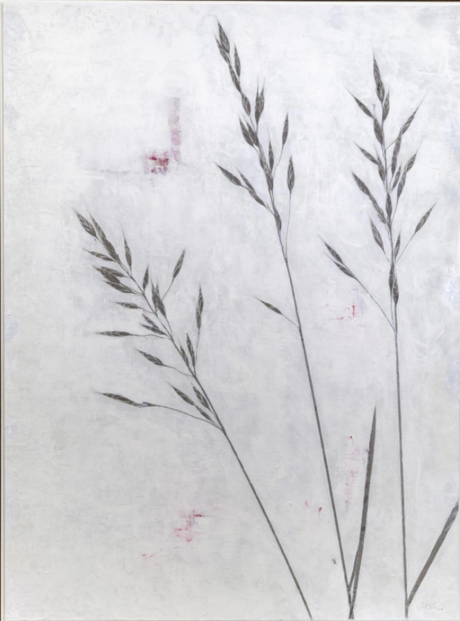 Wild Oats