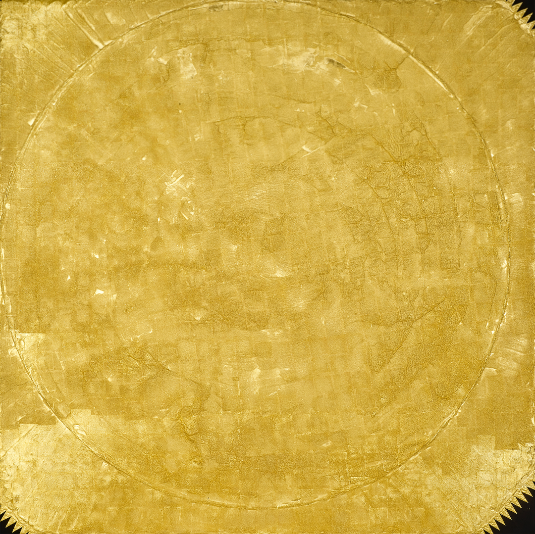 Gravitational Collapse of an Intermediate Mass Star