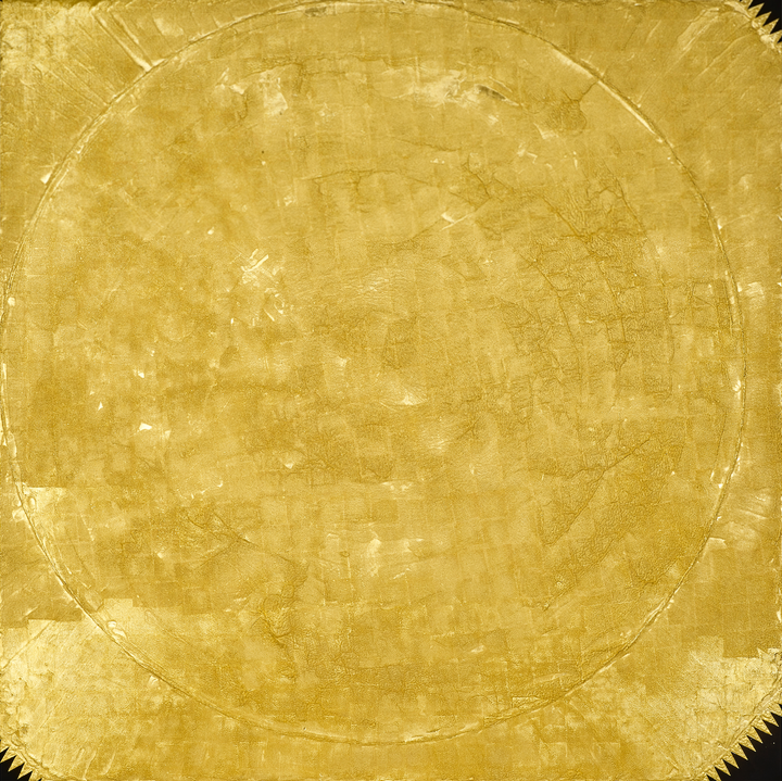 Gravitational Collapse of an Intermediate Mass Star