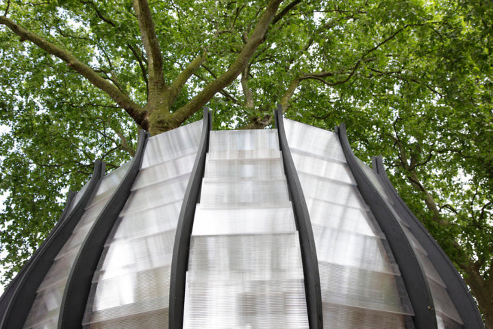 Tree Office