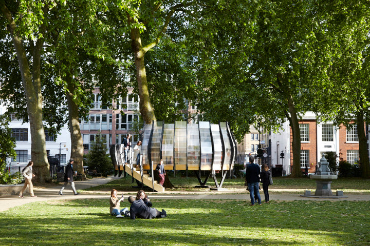 Tree Office